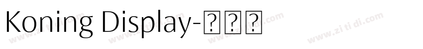 Koning Display字体转换